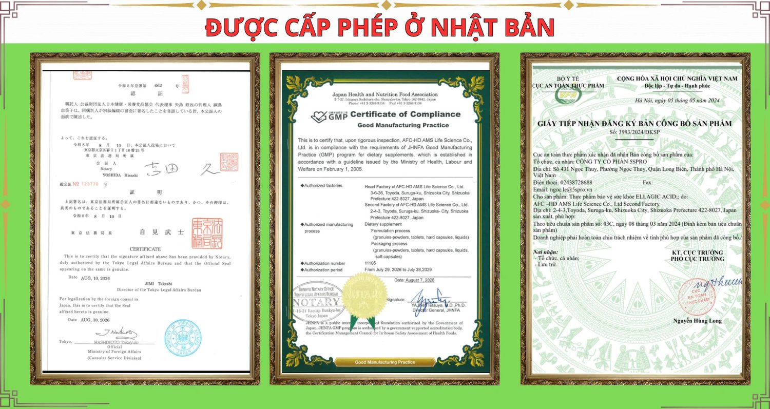 Giấy tờ nhà máy AFC-HD AMS Life Science
