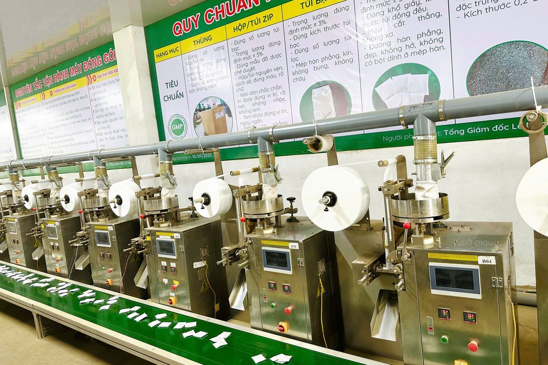 Dây chuyền máy đóng túi lọc trà