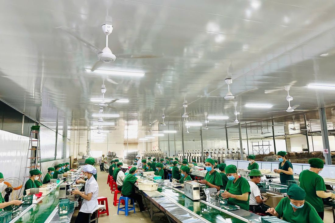 Công nhân đóng hộp trà trong xưởng